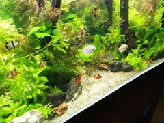 -梦幻海洋王国(吾悦广场张家港店)