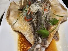 -大铁勺新津菜(熙悦汇店)