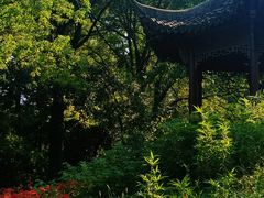 -杭州植物园