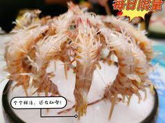 胶东麻虾-红鼎豆捞·非遗鲍皇汤火锅(宝丰路店)