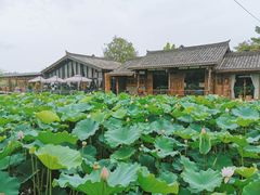 -莫催咖啡