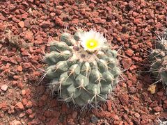 -南通洲际绿博园