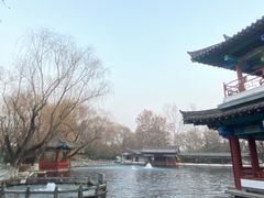 -百脉泉景区