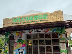 -石排湾郊野公园