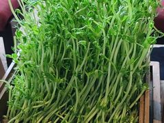 -广州富力君悦大酒店·关系酒廊
