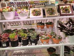 -KKV(天津津南吾悦广场店)