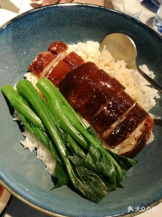 卦炉烧鸭饭