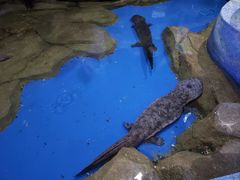 -石林冰雪海洋世界