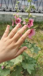 -玉指悦色美甲美睫