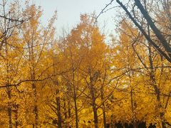 -浙江大学(紫金港校区)