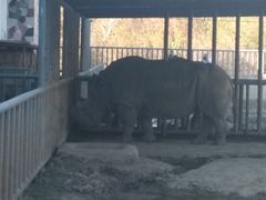 -哈尔滨北方森林动物园