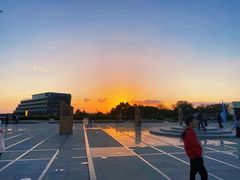 -南汇嘴观海公园