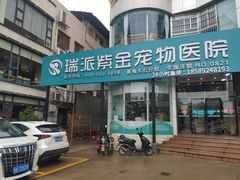 -瑞派紫金宠物医院24小时·骨科·中兽医·重症转诊中心(番禺大石院)