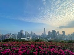 -荔枝公园-小平画像广场