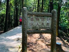 -火炉山森林公园
