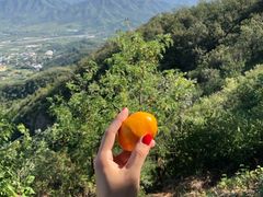-北京鹫峰国家森林公园