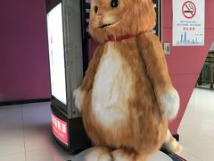 -SFC上影影城(新世界店)