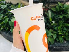 -CoCo都可(上海环球港店)