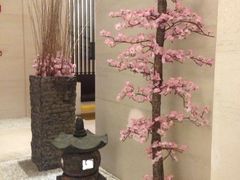 iphone_upload_pic-天津滨海圣光皇冠假日酒店 霞·日餐厅