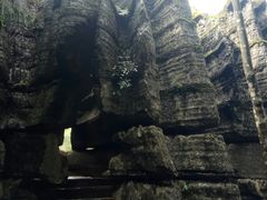 -梭布垭石林景区