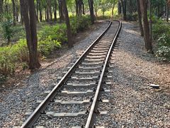 -西青郊野公园