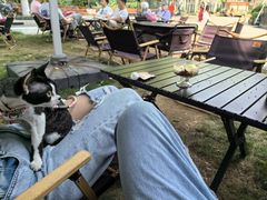 -J Create城市露营咖啡·简餐·宠物(上海动物园店)