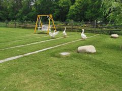 -前小桔亲子创意农场·草莓采摘·露营烧烤