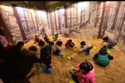 -恐龙探索乐园(磁器口店)