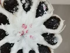 -北京稻香村(五道口店)