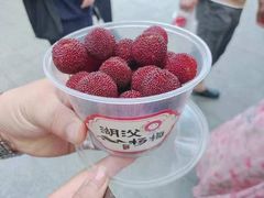 -雅达·阳羡溪山小镇中心