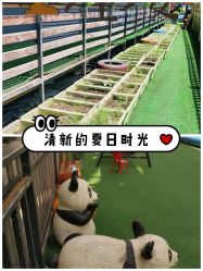 -可可天空农场(中大店)