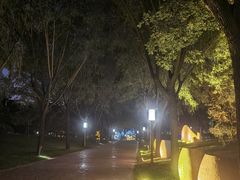 -唐城墙遗址公园