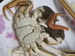 -七的湖·晚芳亭·阳澄湖农家菜·大闸蟹(莲花岛店)