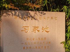 -习家池