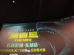 -万达影城(东城万达广场IMAX店)