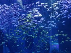 -波塞冬旅游度假区