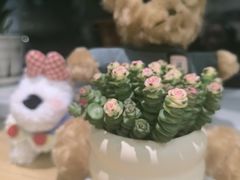 -艾柏堂8090推拿艾灸养生(御庭府邸店)