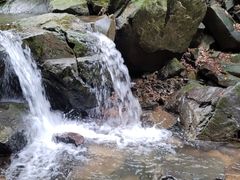 -藏龙百瀑风景区