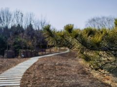 -永定河休闲森林公园