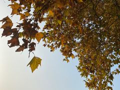 -河南省黄河迎宾馆