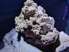 -京东大溶洞景区