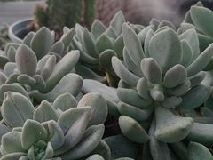 -isee心呈·度假酒店(春熙路店)