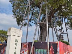-观潮胜地公园