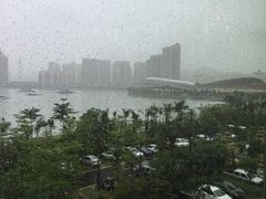 -厦门海沧正元希尔顿逸林酒店開全日餐厅