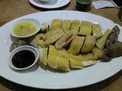 -渔鸽皇酒楼(鸿大广场店)