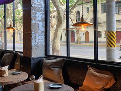 -毛辣果·酸(OHA复兴西路店)