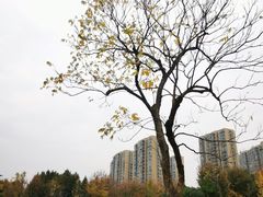 -杭州城北体育公园