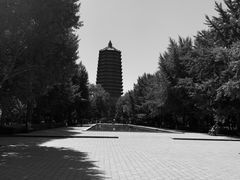 -玲珑塔公园