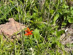 -白草畔自然风景区