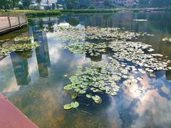 -花果园湿地公园